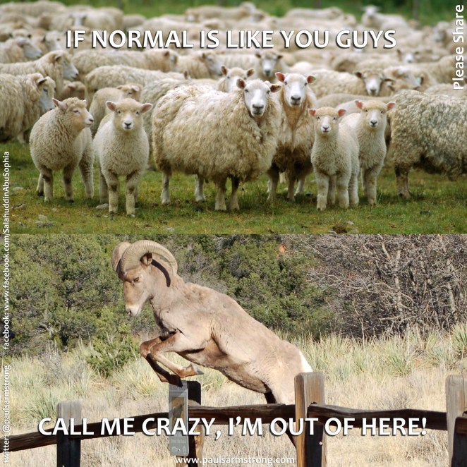 If normal is like you guys