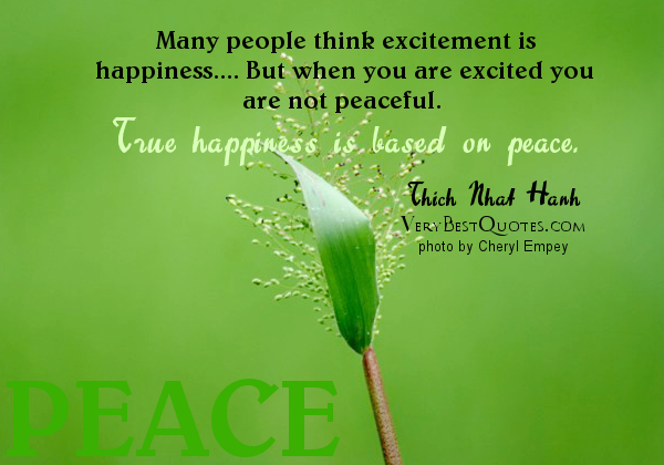 Thich-Nhat-Hanh-hope-Quotes-Many-people-think-excitement-is-happiness....-But-when-you-are-excited-you-are-not-peaceful.-True-happiness-is-based-on-peace.