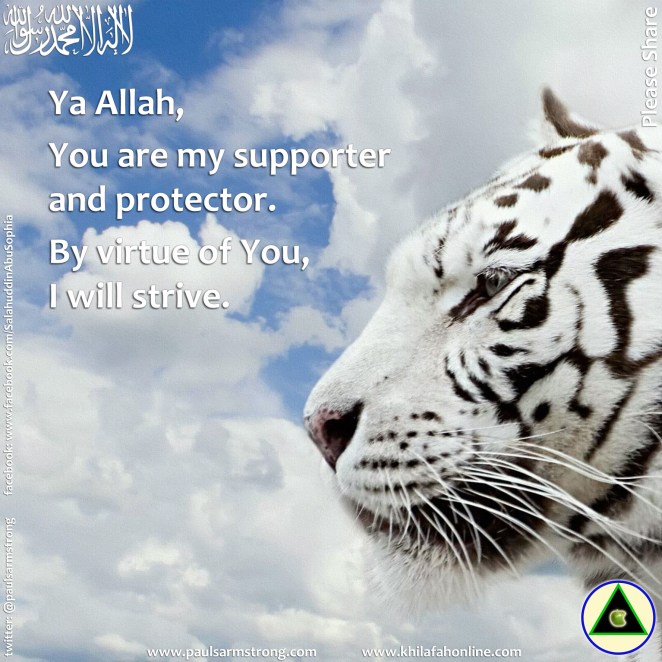 Ya Allah, You are my supporter...