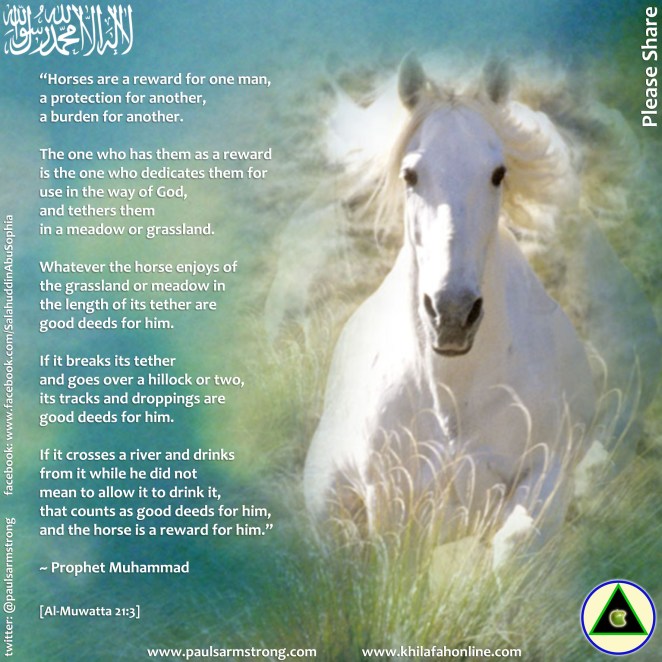Prophet Muhammad - Horses are a reward