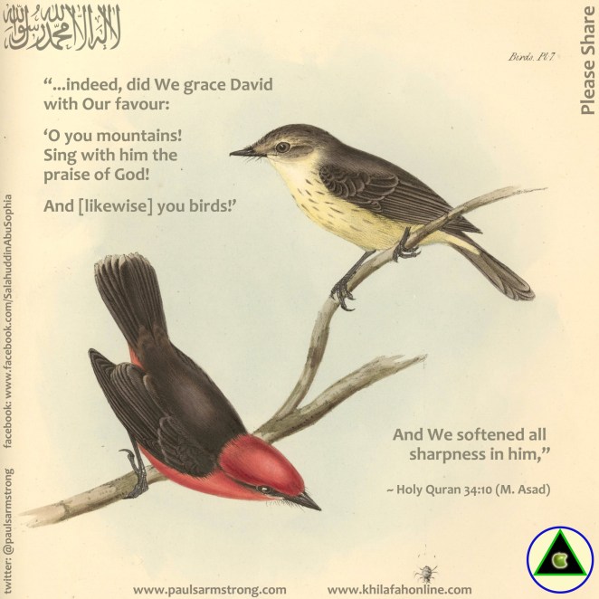 Birds, Sing with him the praise of God