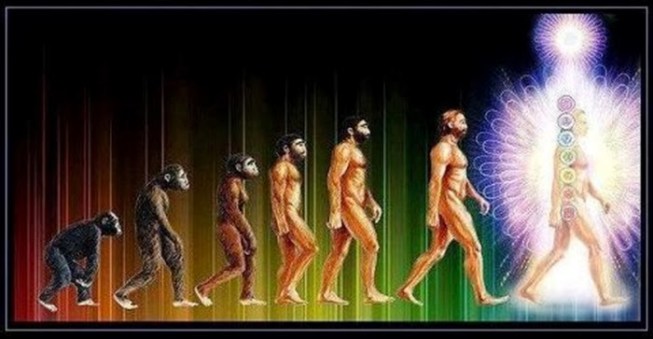 evolution-of-light-being700