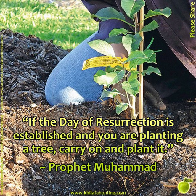 Prophet Muhammad, carry on and plant the tree