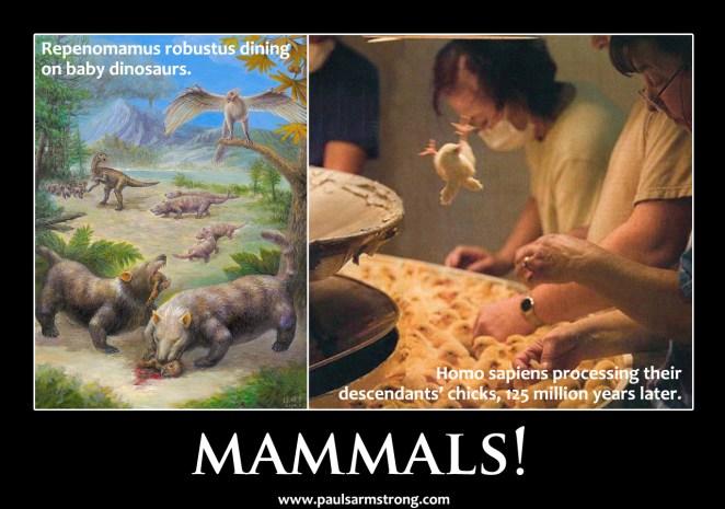 Mammals