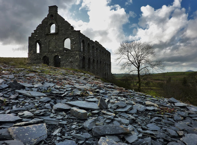 Picture 129 (2000x1470)