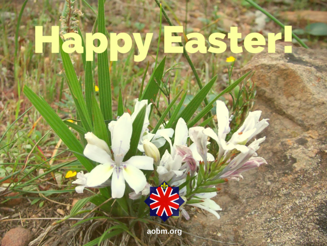 AoBM - Happy Easter 2016