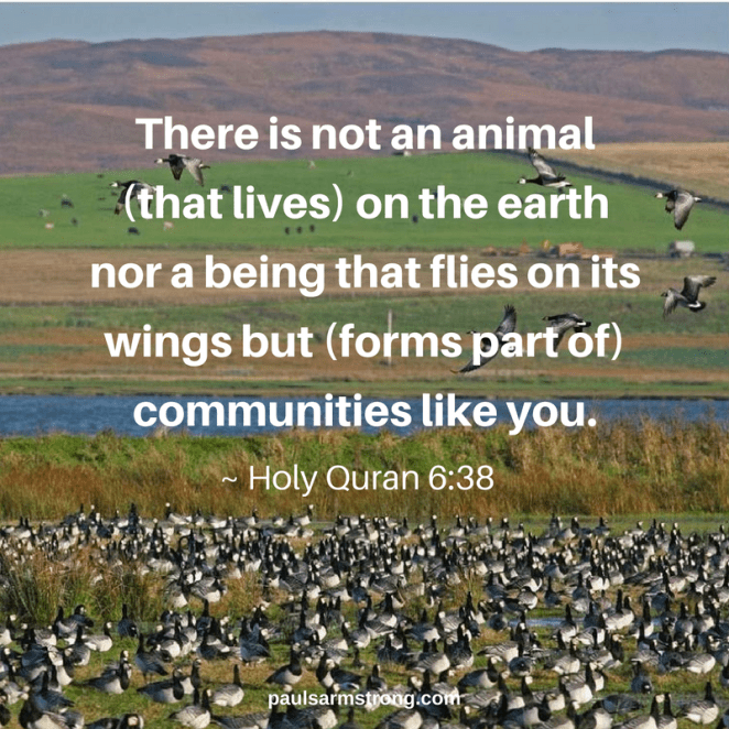 quran-animal-communities