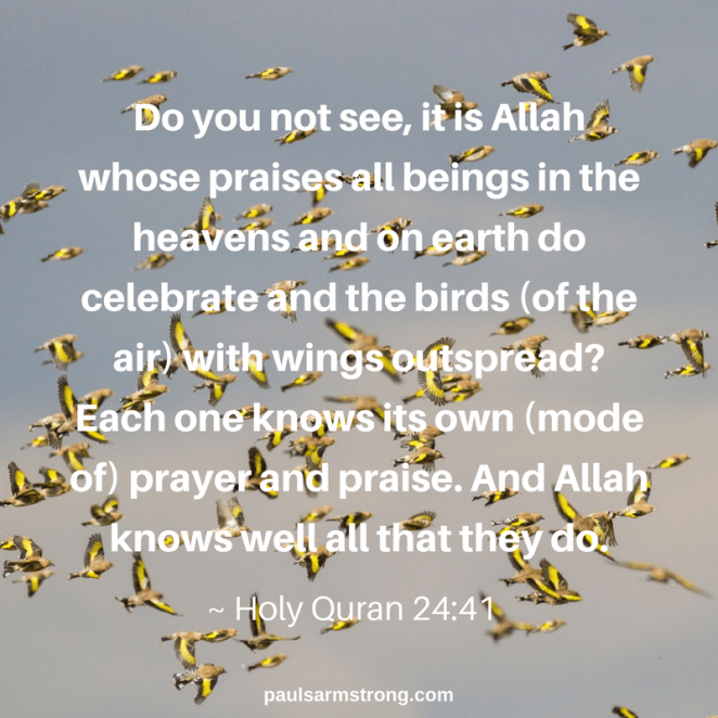 all-life-celebrates-the-creator